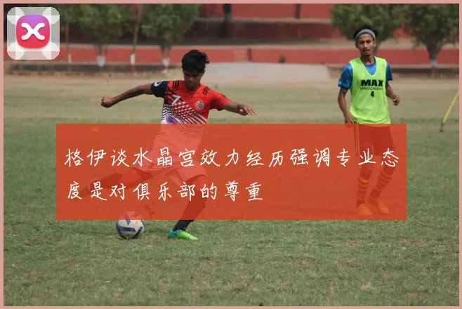 格伊谈水晶宫效力经历强调专业态度是对俱乐部的尊重